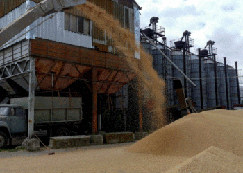 Rikthimi i Rusisë në marrëveshje “zhbllokon” drithin, 10 milionë ton produkte bujqësore nisen nga Ukraina