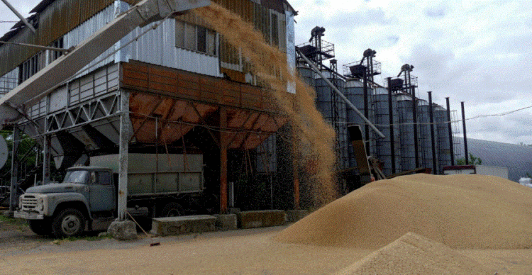 Rikthimi i Rusisë në marrëveshje “zhbllokon” drithin, 10 milionë ton produkte bujqësore nisen nga Ukraina