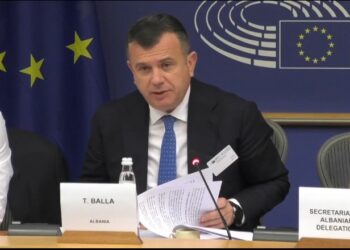 Mbahet takimi i komitetit PE-Shqipëri, Balla: Qeveria është tërhequr nga ligji anti-shpifje