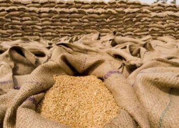 Importet e drithërave ranë me 25% në 11 mujor, Serbia i zë vendin Rusisë