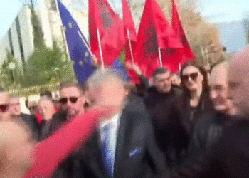 Protestuesi godet me grusht në fytyrë Berishën