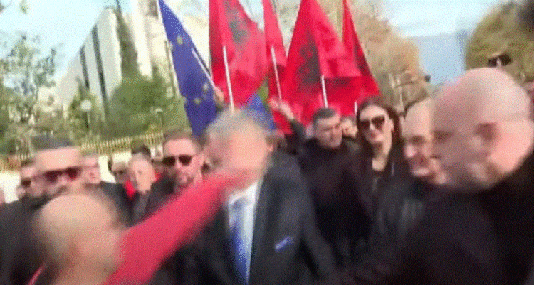 Protestuesi godet me grusht në fytyrë Berishën