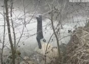 Tronditet Tetova, vajza e mitur dyshohet se vrau 16-vjeçarin, viktima gjendet në lumin Shkumbin