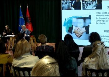 Prioritetet e 2023, Ekonomi: Do përmirësohet cilësia e shërbimeve online! Do ndiqet performanca e nëpunësve civilë dhe raportet e INSTAT